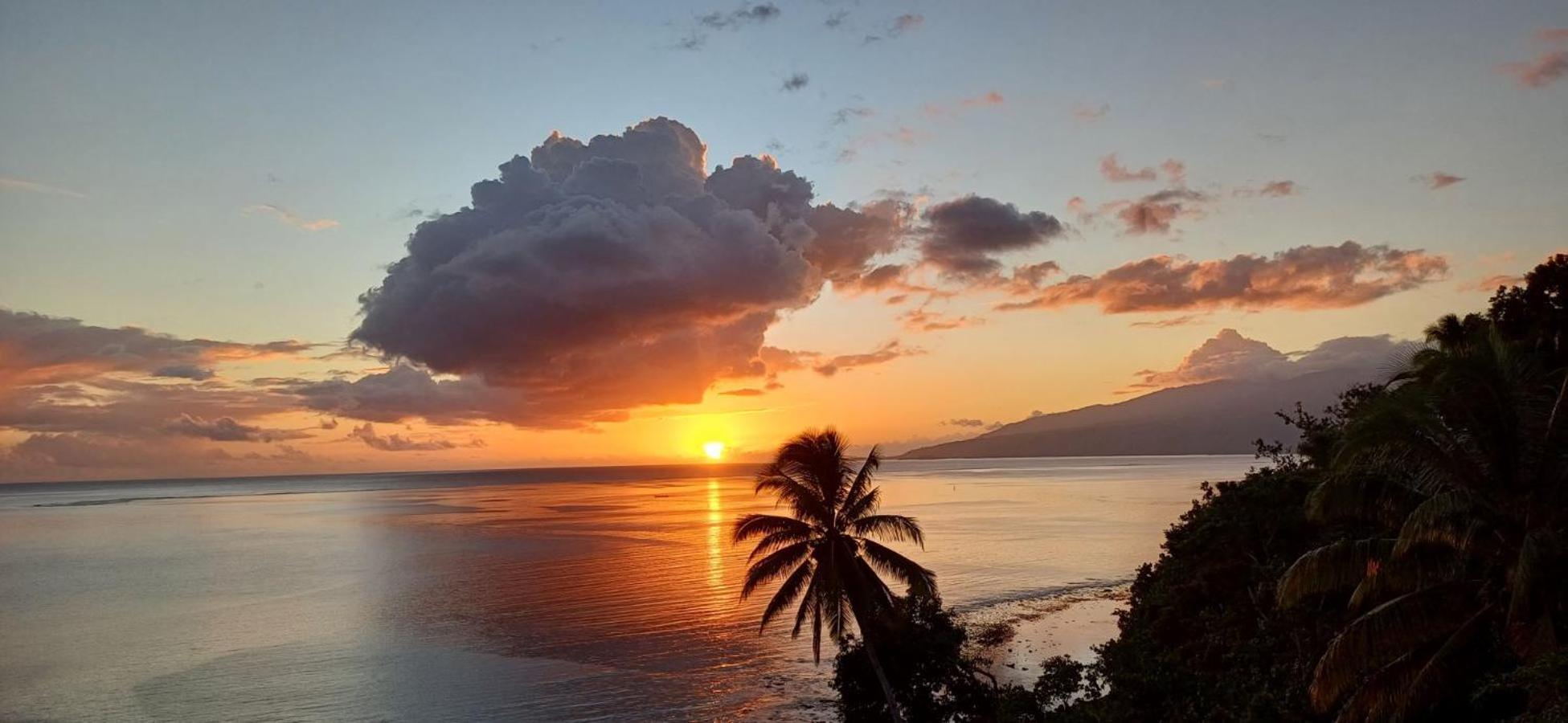 Maui Homestay Vue Ocean Exceptionnelle & Baleines En Saison Tohautu Экстерьер фото